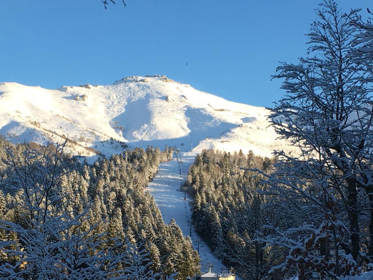 Le Lioran Studio les Myrtilles à 200m des pistes Exterior foto