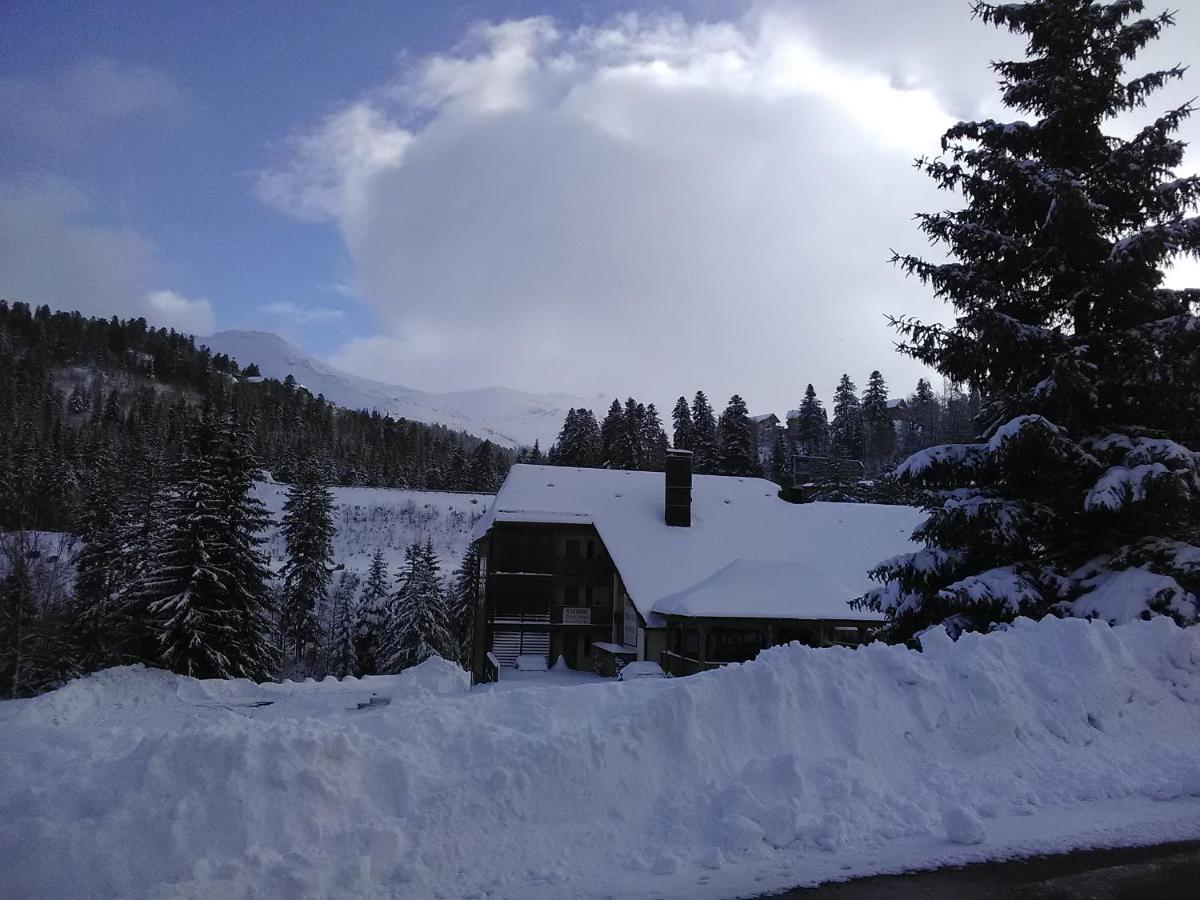 Le Lioran Studio les Myrtilles à 200m des pistes Exterior foto