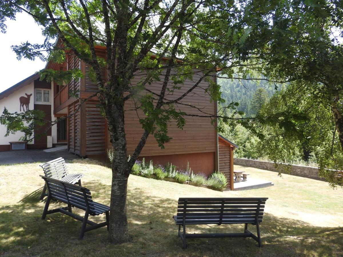 Le Lioran Studio les Myrtilles à 200m des pistes Exterior foto